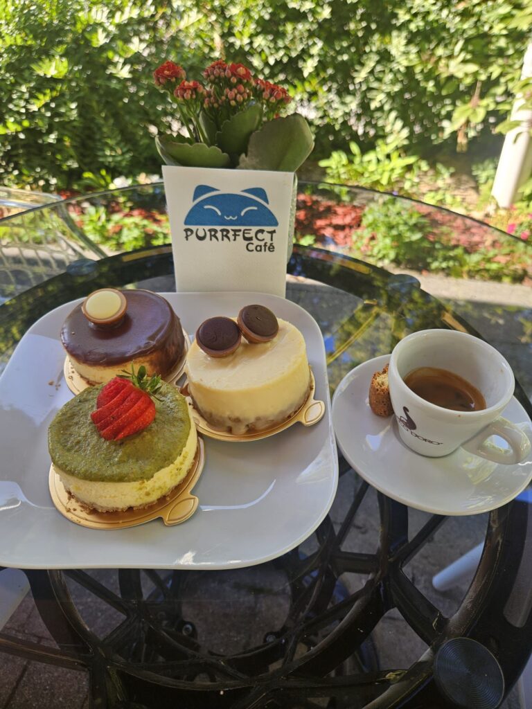 Purrfectcafe.de